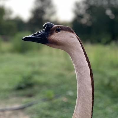 Carl, Head of Security at D'Eramo Creative Marketing Agency for Nonprofits & Small Businesses