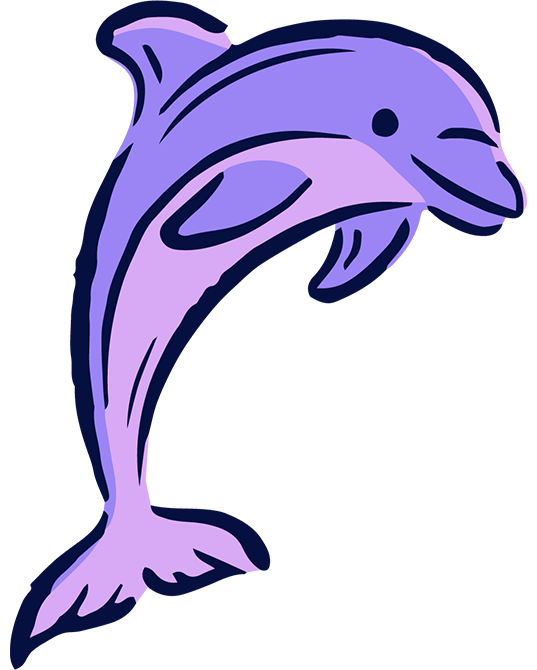 D'Eramo Creative Dolphin Illustration | Marketing Agency for Nonprofits & Small Businesses